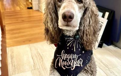 5 Tips for the New Year by Dr. Keener